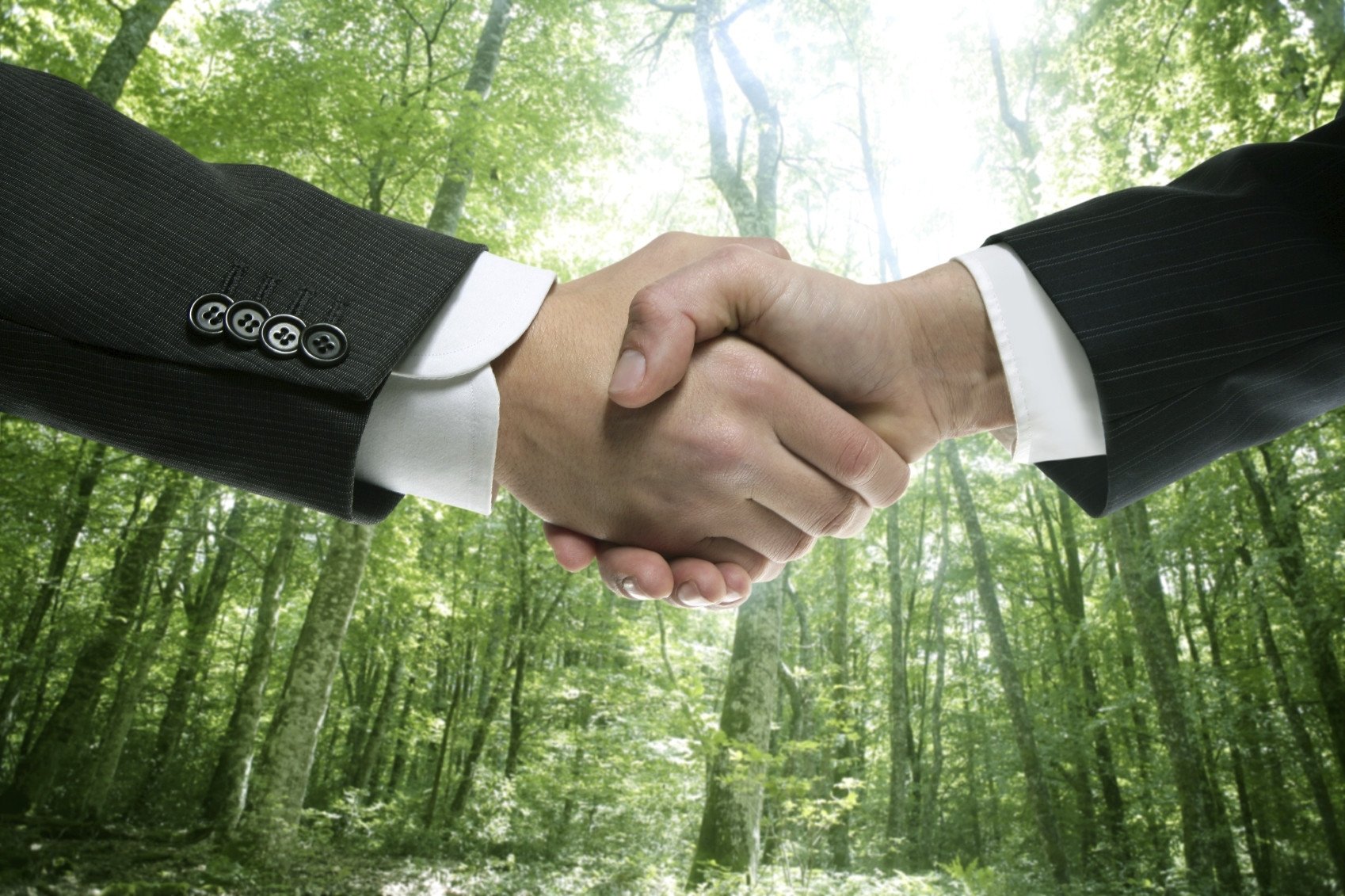 Сотрудничество человека и природы. Рукопожатие с природой. Бизнес в лесу. Экологическое сотрудничество. Переговоры в лесу.